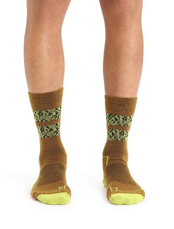 Clove / Shine Men's Icebreaker Merino Hike+ Light Crew Natural Summit Socks | USA 1007VRWD